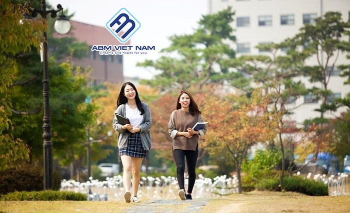 Cập nhật quy định mới nhất về độ tuổi du học Hàn Quốc