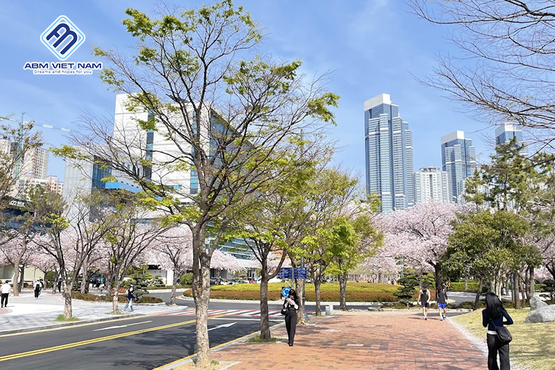 Đại học Quốc gia Pukyong