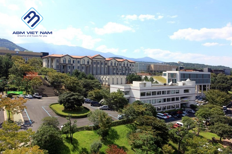 Lý do nên chọn các trường đại học ở Busan chi phí thấp