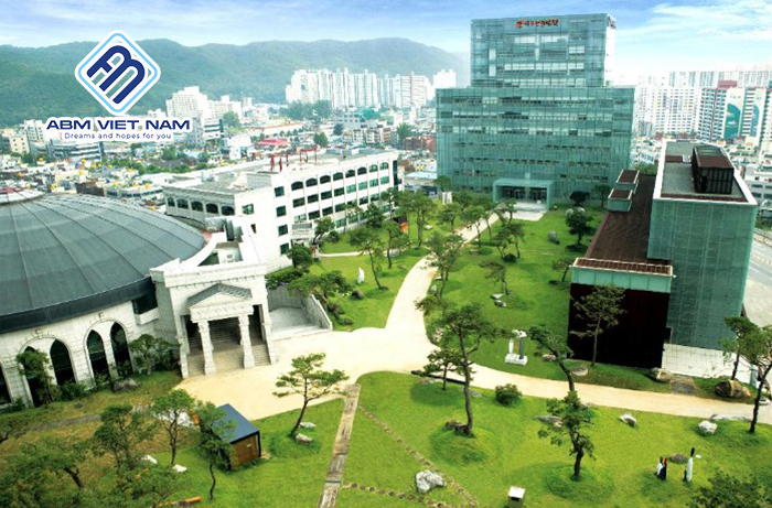 Cao đẳng nghề Daegu