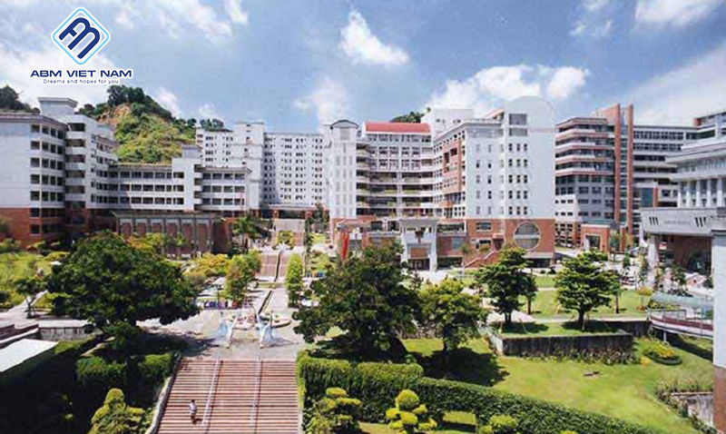 Đại học Youngsan