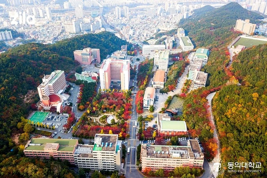 Đại học Dong-eui (Dong-Eui University) – Trường đại học hàng đầu tại Busan, Hàn Quốc
