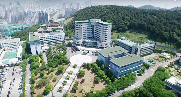 ĐẠI HỌC TONGMYONG – TONGMYONG UNIVERSITY (동명대학교)